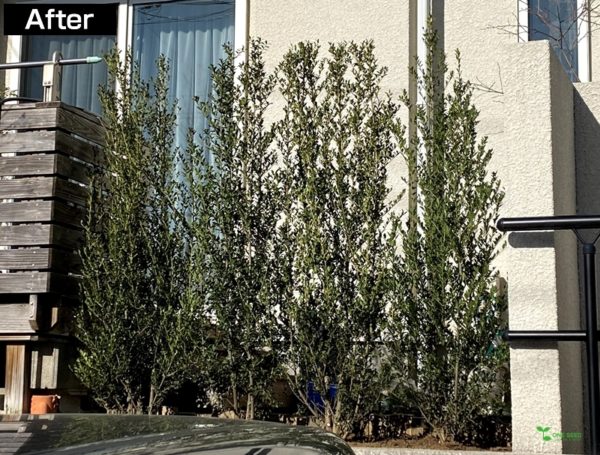 横浜市青葉区庭　ガーデンデザイン　ガーデニング