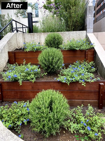 横浜市青葉区庭　ガーデンデザイン　ガーデニング