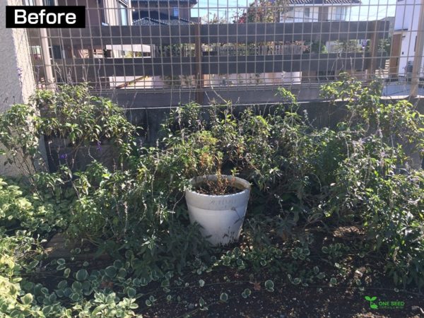 横浜市青葉区庭　ガーデンデザイン　ガーデニング