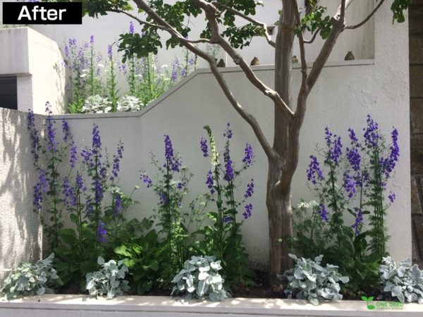 横浜市青葉区庭　ガーデンデザイン　ガーデニング