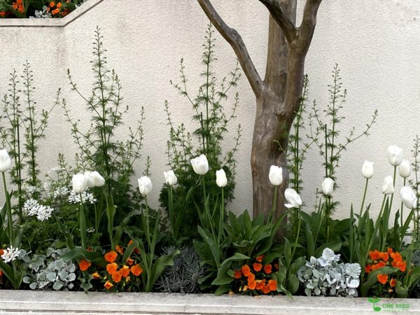 横浜市青葉区ガーデンコンサルタント　デザイン　庭管理