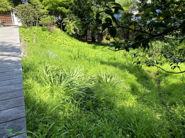 横浜市青葉区ガーデンコンサルタント　デザイン　庭管理