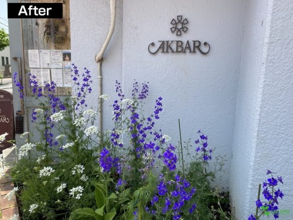 横浜市青葉区ガーデンコンサルタント　デザイン　庭管理