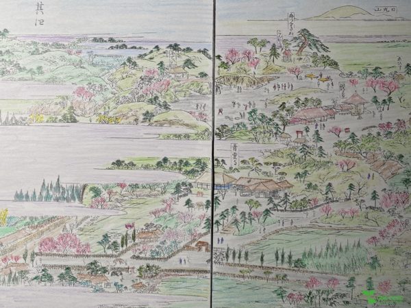 横浜市青葉区　庭デザイン　庭相談　庭管理