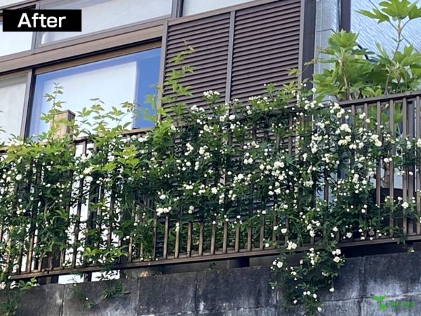 横浜市青葉区庭デザイン　ガーデンコンサルタント　