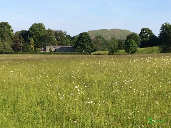 庭デザイン　エントランスデザイン　ガーデンデザイン
