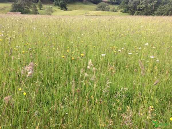 庭デザイン　エントランスデザイン　ガーデンデザイン