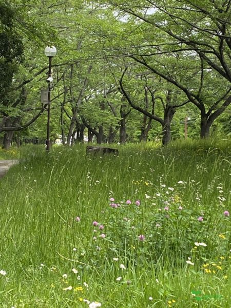 庭デザイン　ガーデンデザイン　庭相談　