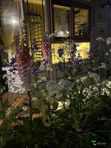 横浜市青葉区　庭　ガーデンデザイン　ガーデニング