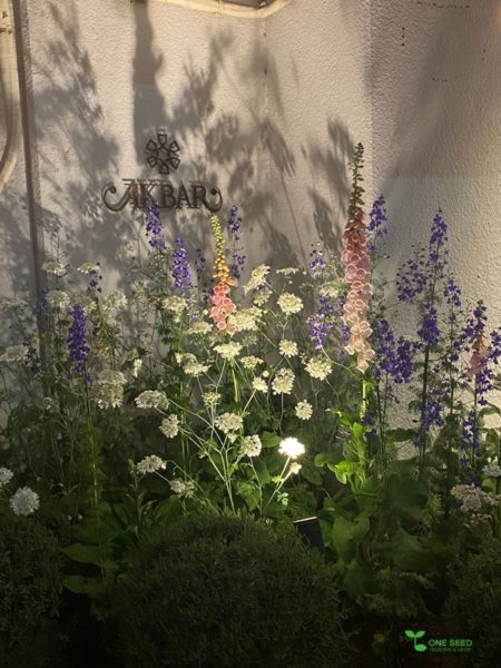 横浜市青葉区　庭　ガーデンデザイン　ガーデニング