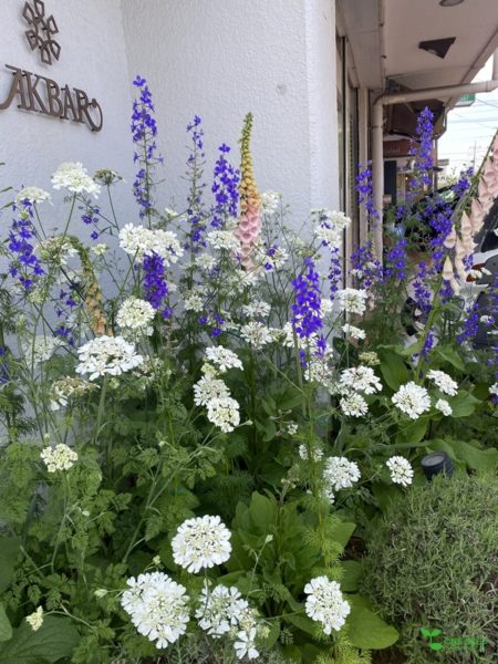 横浜市青葉区　庭　ガーデンデザイン　ガーデニング