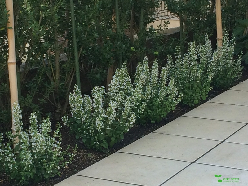 横浜市青葉区　庭　ガーデニング　ガーデンデザイン　庭リフォーム