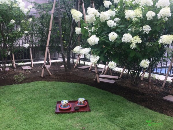 横浜市青葉区 庭デザイン 庭相談 庭管理 ビーガン