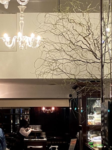 横浜市青葉区庭　ガーデンデザイン　ガーデニング