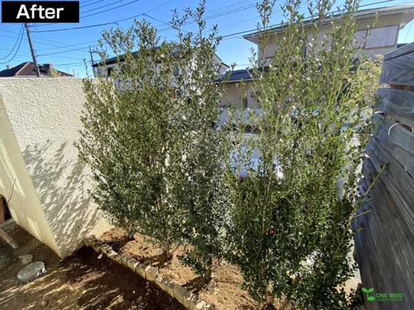 横浜市青葉区庭　ガーデンデザイン　ガーデニング