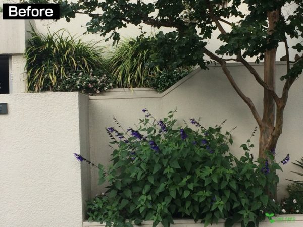 横浜市青葉区庭　ガーデンデザイン　ガーデニング