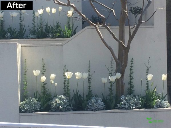 横浜市青葉区庭　ガーデンデザイン　ガーデニング