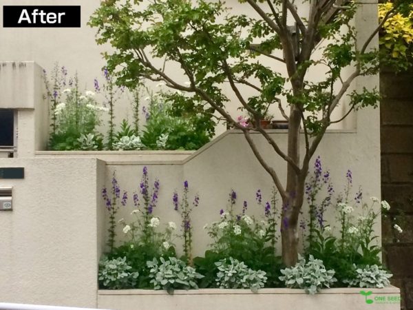 横浜市青葉区庭　ガーデンデザイン　ガーデニング