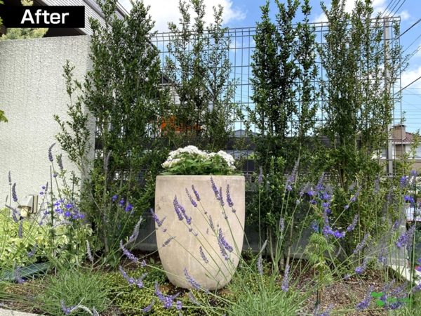 横浜市青葉区庭　ガーデンデザイン　ガーデニング