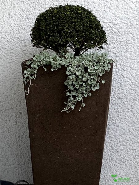 横浜市青葉区庭　ガーデンデザイン　ガーデニング