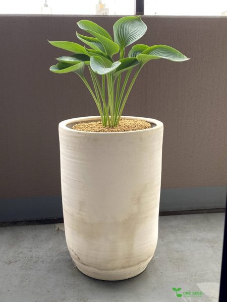 たまプラーザ 庭 デザイン 施工