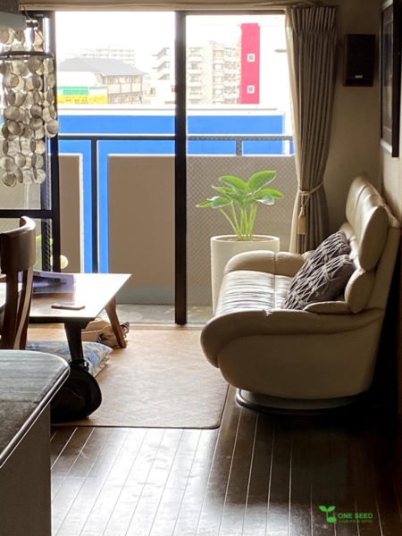 たまプラーザ　庭　デザイン　施工