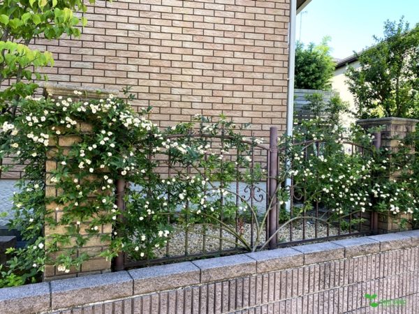 横浜市青葉区ガーデンコンサルタント・デザイン・定期管理