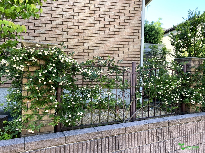 横浜市青葉区ガーデンコンサルタント・デザイン・定期管理