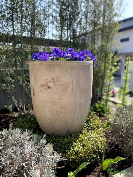 横浜市青葉区ガーデンコンサルタント・デザイン・定期管理