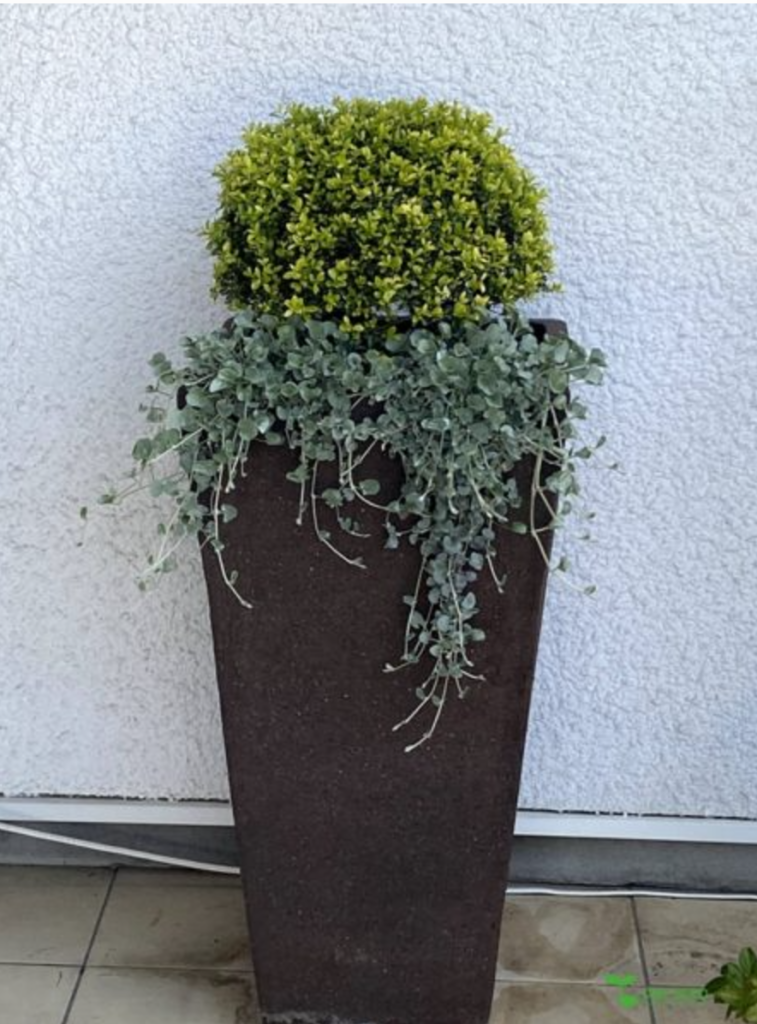 横浜市青葉区　庭　ガーデンデザイン　庭リフォーム