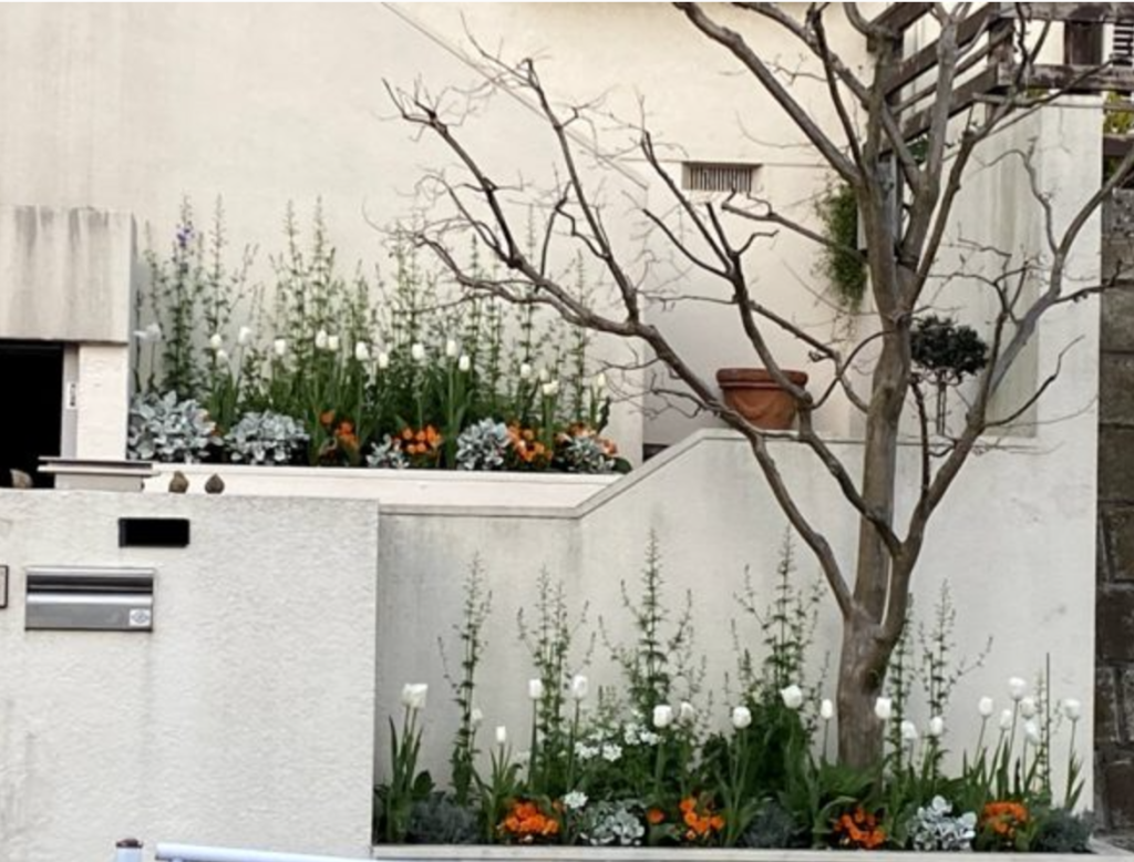 横浜市青葉区　庭　ガーデンデザイン　庭リフォーム