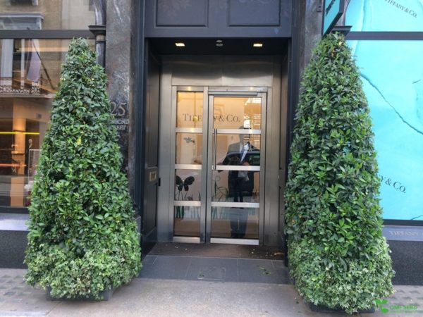 横浜市青葉区ガーデンコンサルタント　デザイン　庭管理