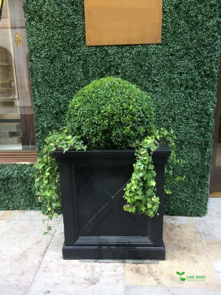 横浜市青葉区ガーデンコンサルタント　デザイン　庭管理