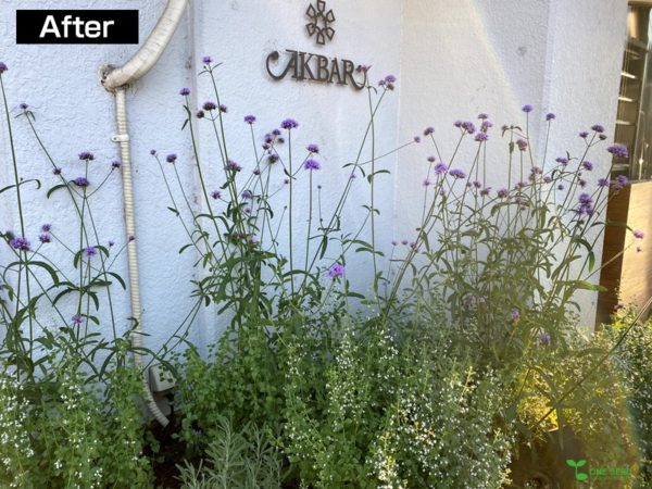 横浜市青葉区ガーデンコンサルタント　デザイン　庭管理