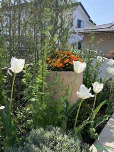 横浜市青葉区　庭　ガーデンデザイン　庭リフォーム