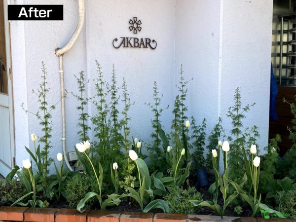 横浜市青葉区ガーデンコンサルタント　デザイン　庭管理