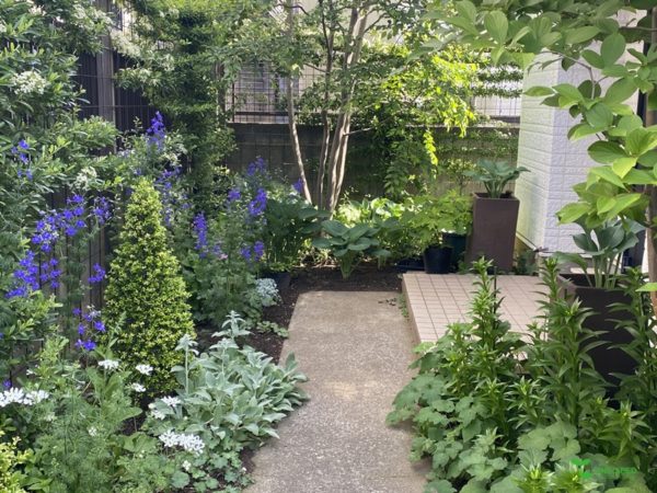 横浜市青葉区ガーデンコンサルタント　デザイン　庭管理