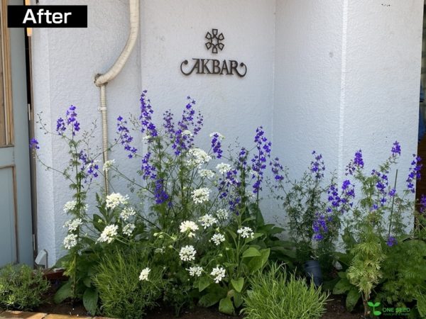 横浜市青葉区ガーデンコンサルタント　デザイン　庭管理