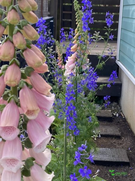 横浜市青葉区ガーデンコンサルタント　デザイン　庭管理