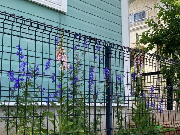 横浜市青葉区ガーデンコンサルタント　デザイン　庭管理