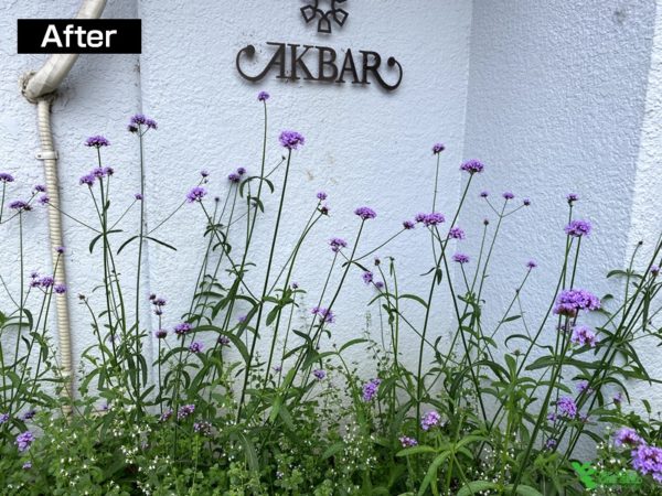 横浜市青葉区ガーデンコンサルタント　育てる庭