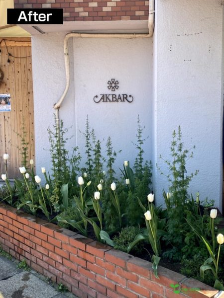 横浜市青葉区ガーデンコンサルタント　育てる庭