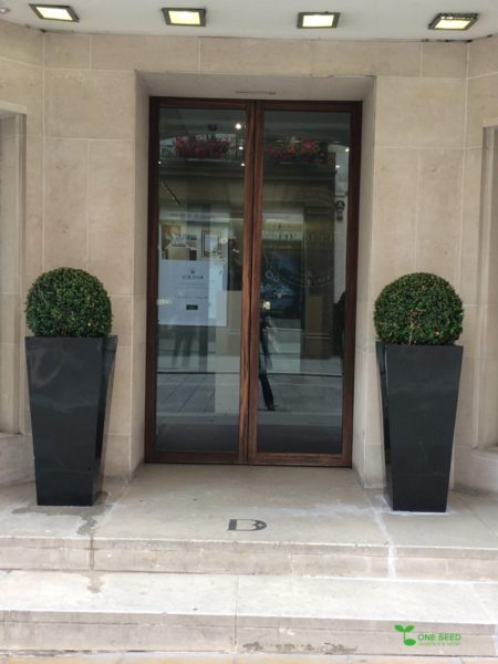 横浜市青葉区　ガーデンコンサルタント　エントランスデザイン