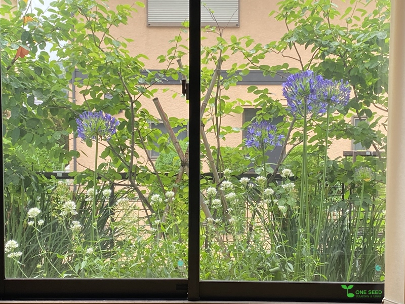 横浜市青葉区　ガーデンコンサルタント　庭デザイン