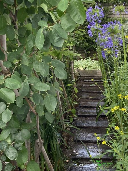 横浜市青葉区　ガーデンコンサルタント　庭デザイン