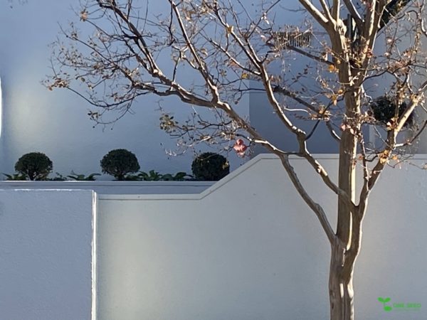 横浜市青葉区庭デザイン　ガーデンコンサルタント　