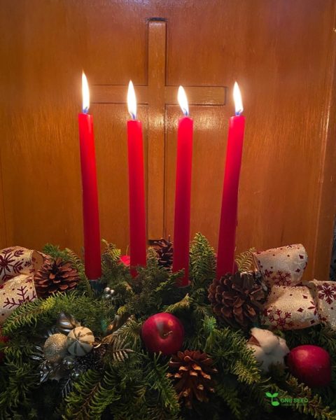 横浜市青葉区庭デザイン　ガーデンコンサルタント　