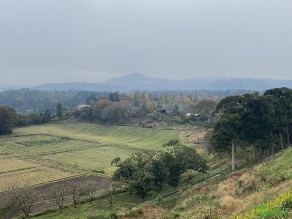 横浜市青葉区庭デザイン　ガーデンコンサルタント　