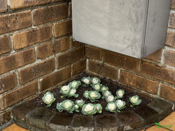 横浜市青葉区庭デザイン　ガーデンコンサルタント　