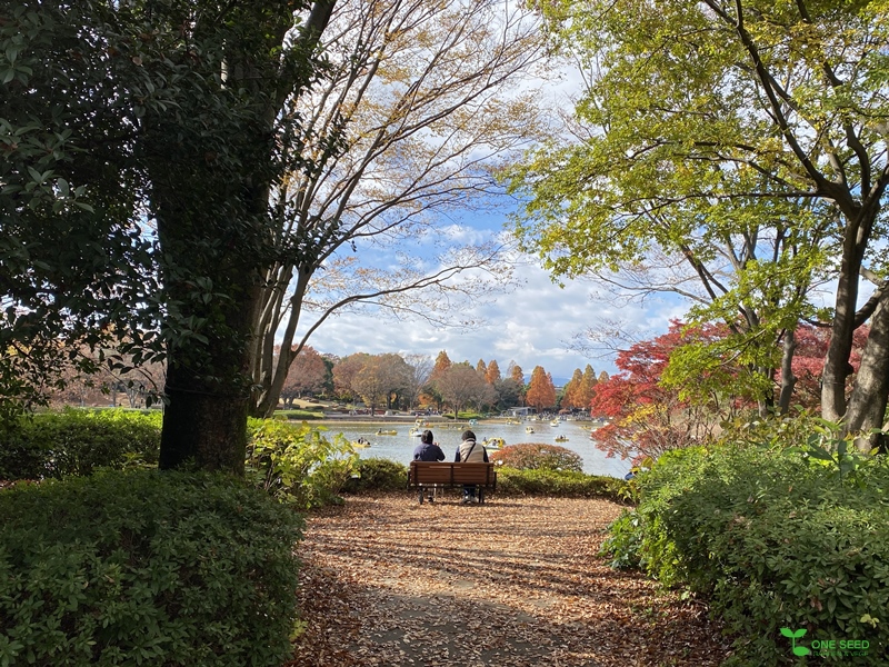 横浜市青葉区庭デザイン　ガーデンコンサルタント　